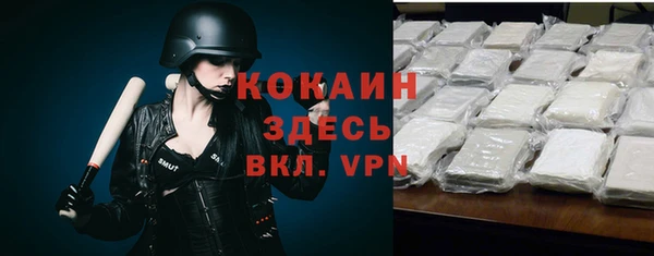 прущие грибы Покров
