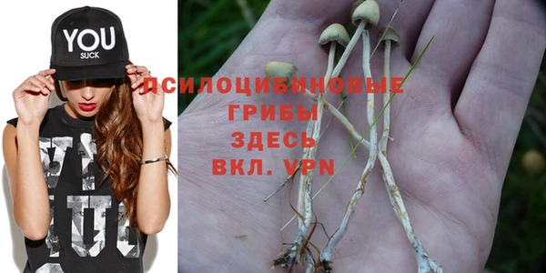меф Абаза